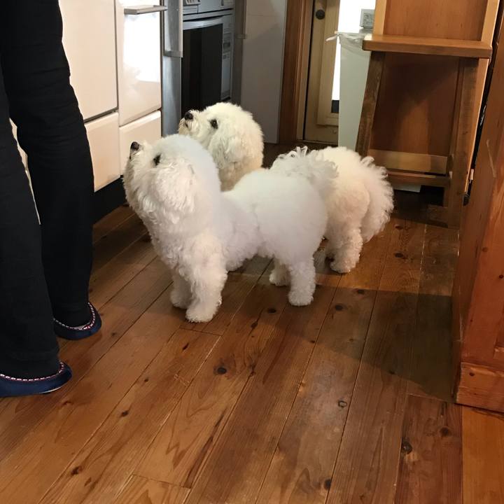 88042154 820b 4456 a03d 66117f2e940f 1576971289515