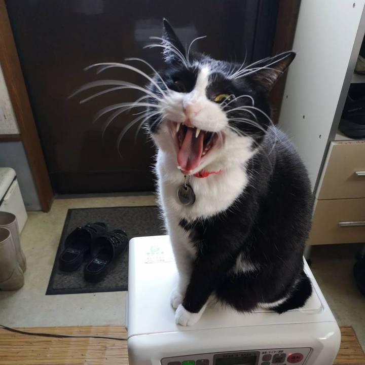 88042d39 d83c 4c61 baa0 aa1d92308246 1642995847899