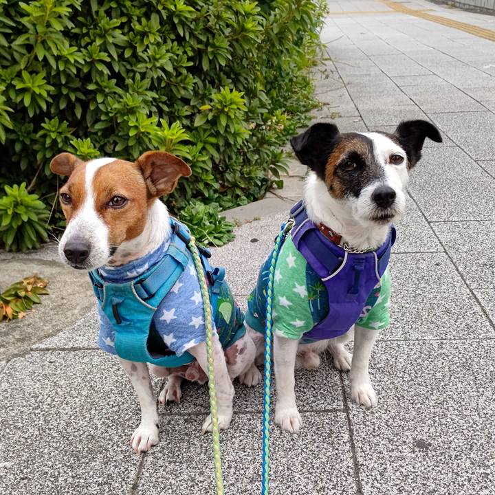 88044fc4 e894 4372 89b8 61e5a4162202 1633730598041