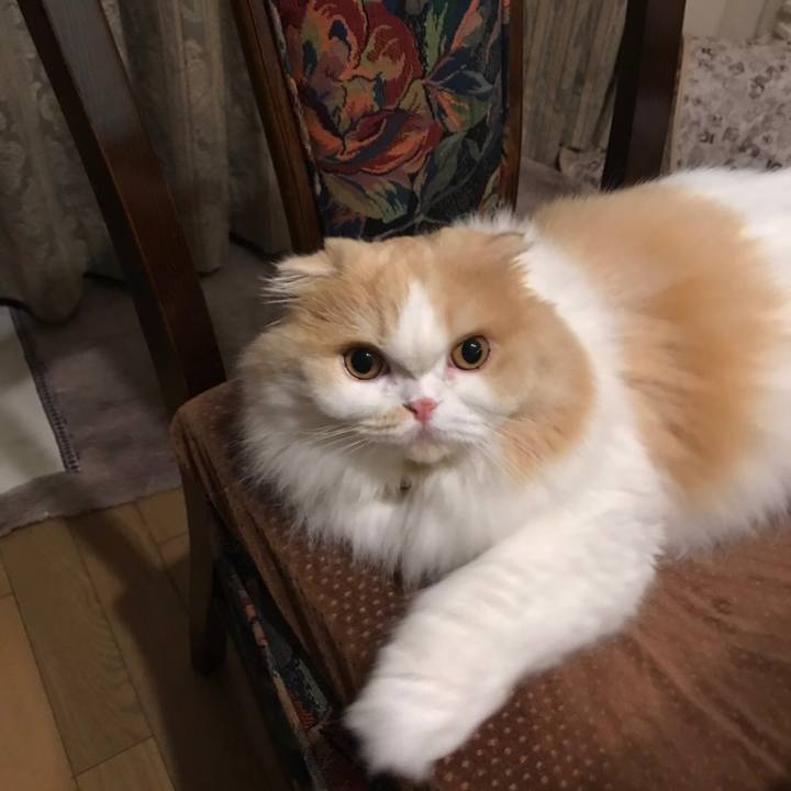 88047a1c 8fac 4045 bc2d 47082099edde 1568152004027