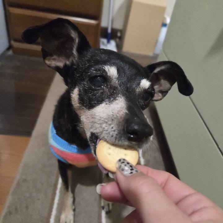 8804b696 b25f 4568 963d 71bac78b562c 1766260139581