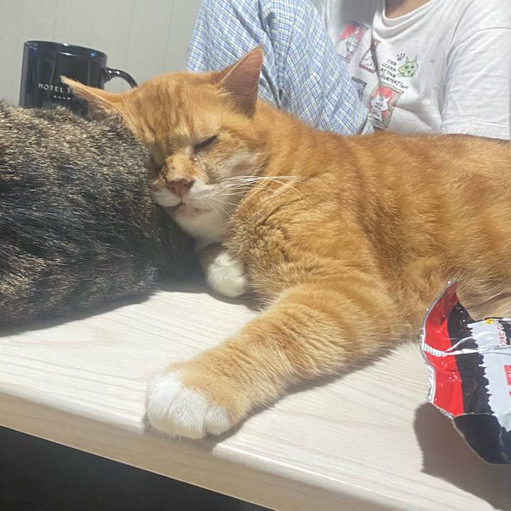 8804be08 914d 4594 bab8 2fc0ea708d83 1719762230148