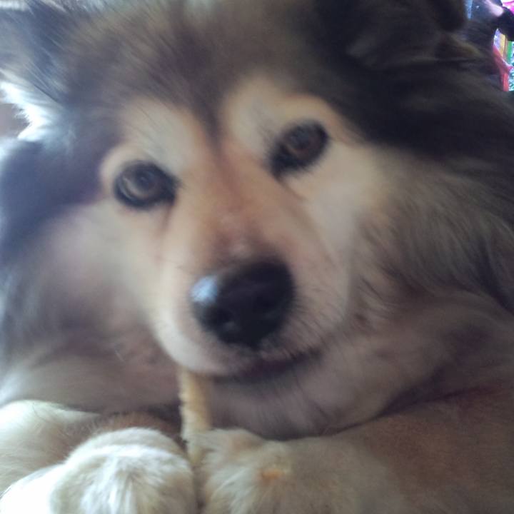 8804de2f 69a7 4e25 8032 23225bdb79ab 1586109581365