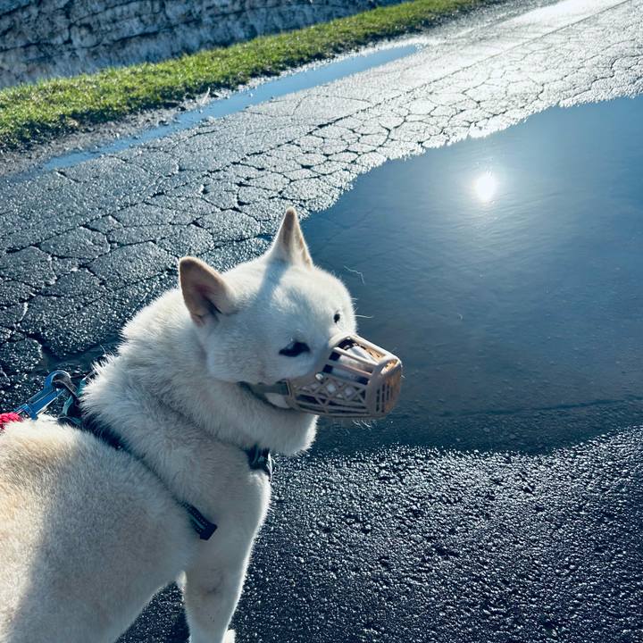 88052841 27e8 453b a558 e2c362017838 1744841389007