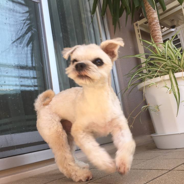 88052d8d 6112 496f a05c 0b4b07939005 1534207098703