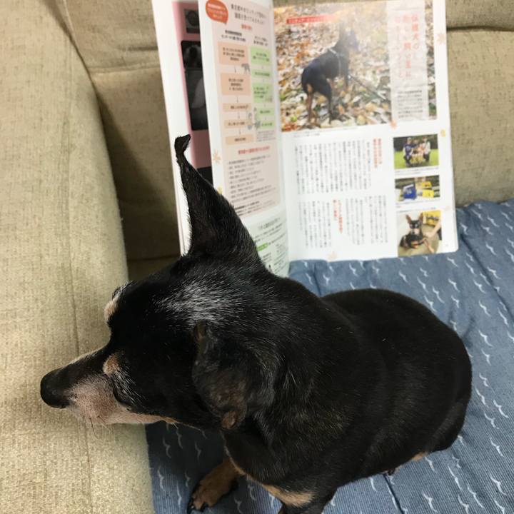 88053af4 14ef 4081 b893 9a3d89513ae8 1540464806604