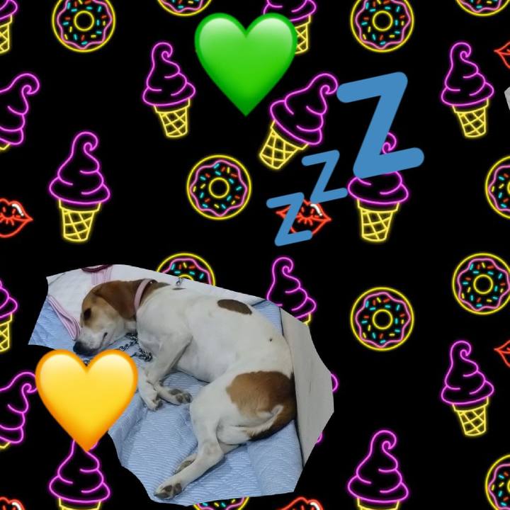 88054a0e 71df 4dc6 821b 7c33905b3241 1591622321496