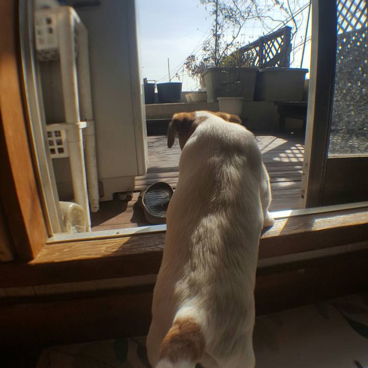 88056768 9c88 4f41 a7a2 7b73f578a275 1550302695296