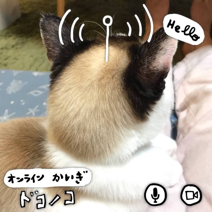 88059236 9b6d 4bd2 b2f5 43a3bcb759f8 1590712819636