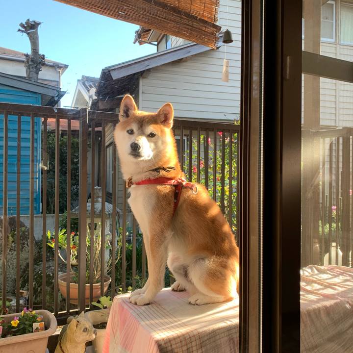 88059e82 086f 477f 927b 0628b6c3b63d 1606386208450