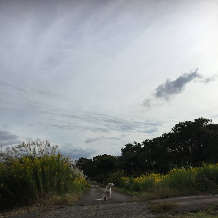 8805d0e9 d057 4651 a828 13fa08664da5 1569673852596