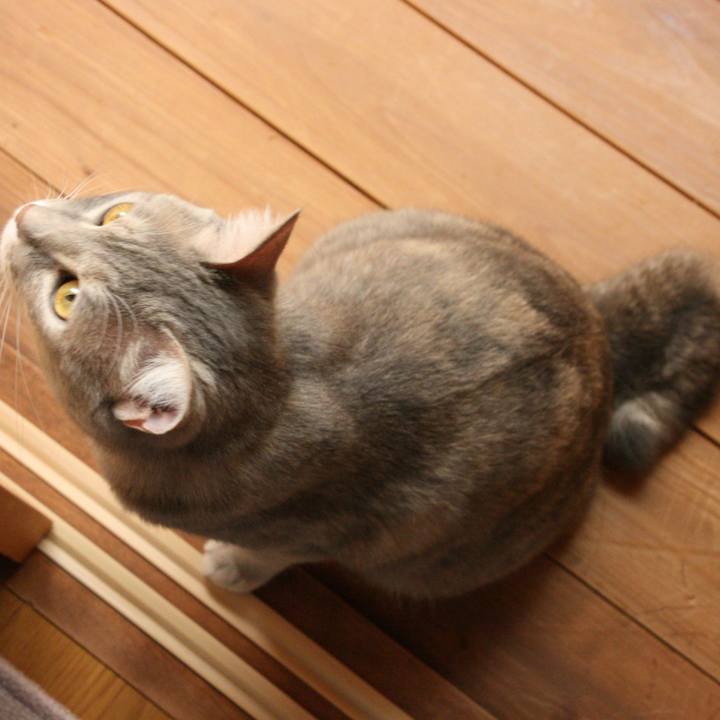 8805d8f6 9d97 4306 bbcd a527788050d3 1509327947089