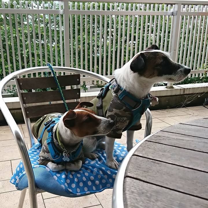 8805e2aa d498 458f a616 9c8e44e94678 1590047983558