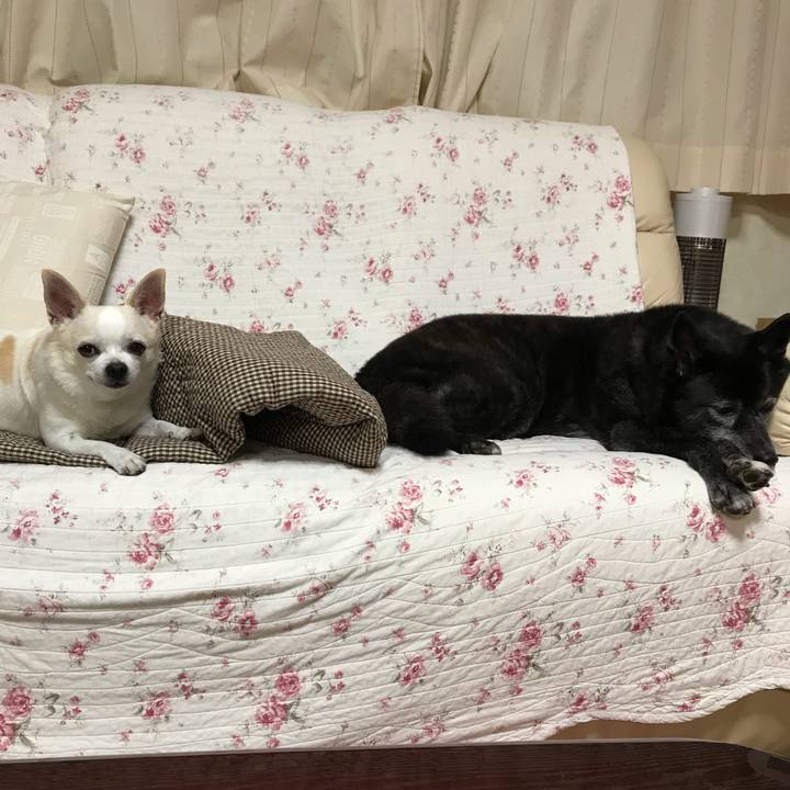 8805f00e f1c1 4047 a449 3a3b3540e126 1539694915916