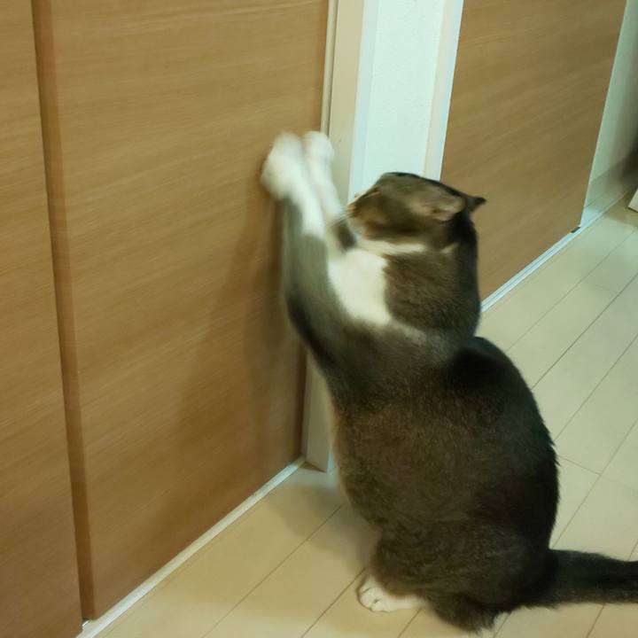 880623f2 8797 4956 a158 5966f3325b4e 1695038331309