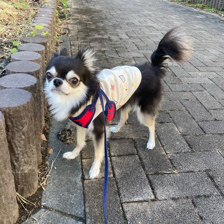 88063915 fb0b 4125 846e 4cfc2e35fe73 1700406024545