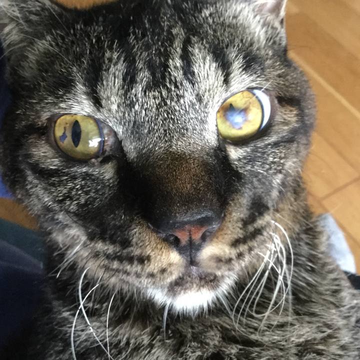 88066013 3dd9 4e67 9bd4 d413e8886dc4 1626744546772