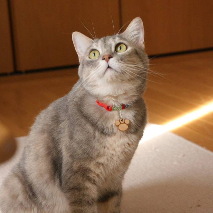 8806626a e19f 4c18 a627 aa46f2c1168e 1557735837674