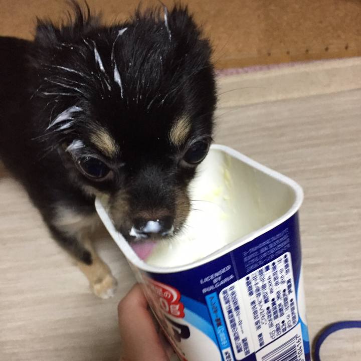 88068d2c 4f51 4c16 988b fd838dc7b773 1510092208627