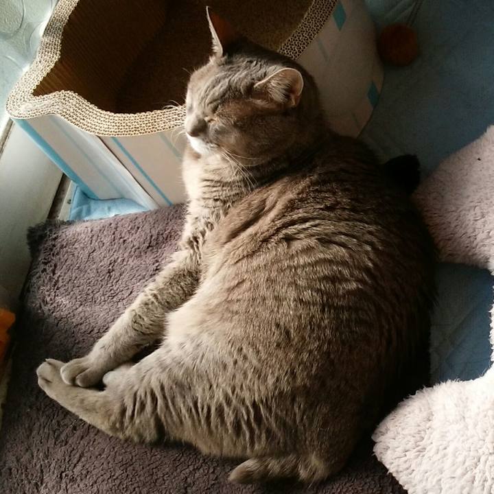 88069bab 8268 4c71 a147 bdcb8ff097cd 1576375967906