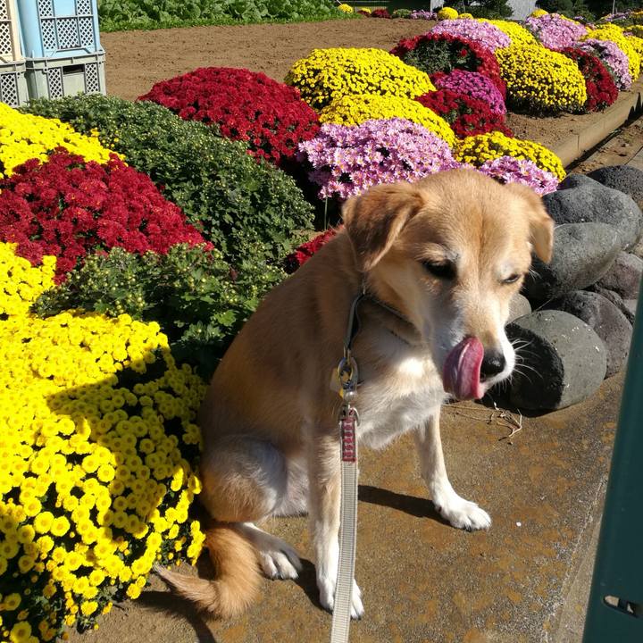 8806de30 f485 496f b7b8 1a322fe0f21f 1540904745467