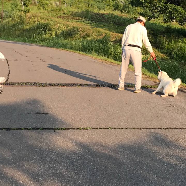 8806e2ba 4cfa 453c 9ec4 1db41d19399a 1533205104598