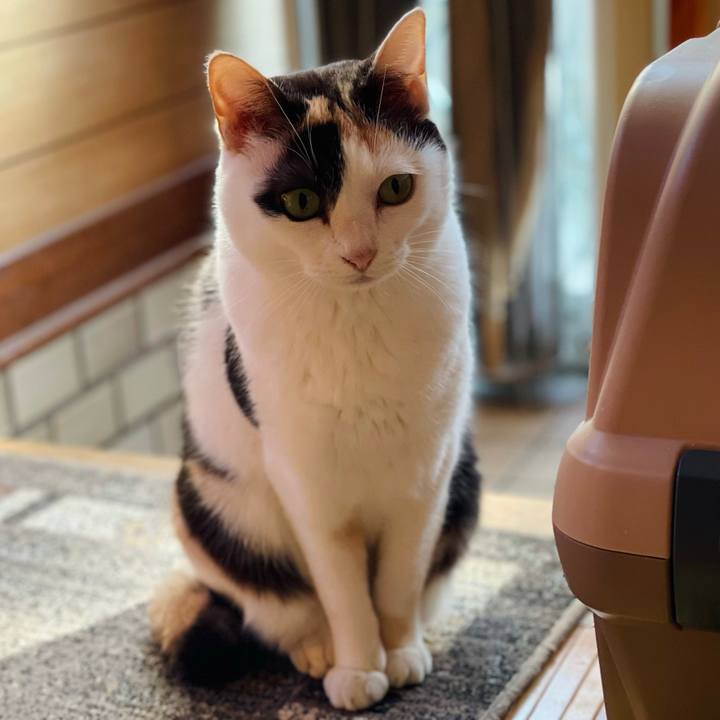 88076b25 dbf5 4f81 b858 093f2cbb3a7f 1620958187550