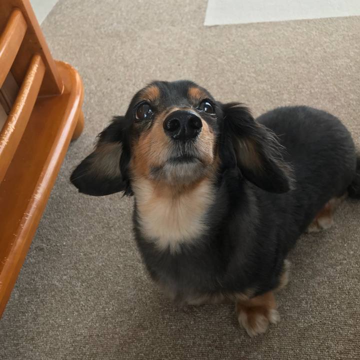 88079ccb 31f1 402c 92de fbbbb0924519 1527110064169