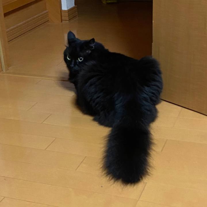 8807a066 38f5 4130 9b63 5756ec8740da 1596289569627