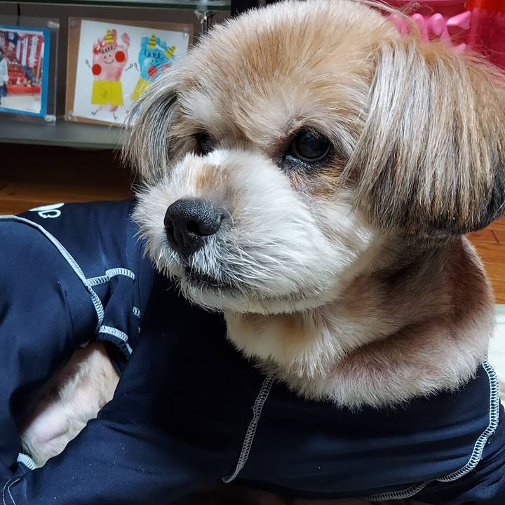 8807a440 55f4 4dea 9c60 c15ece6ce5f7 1668419455204