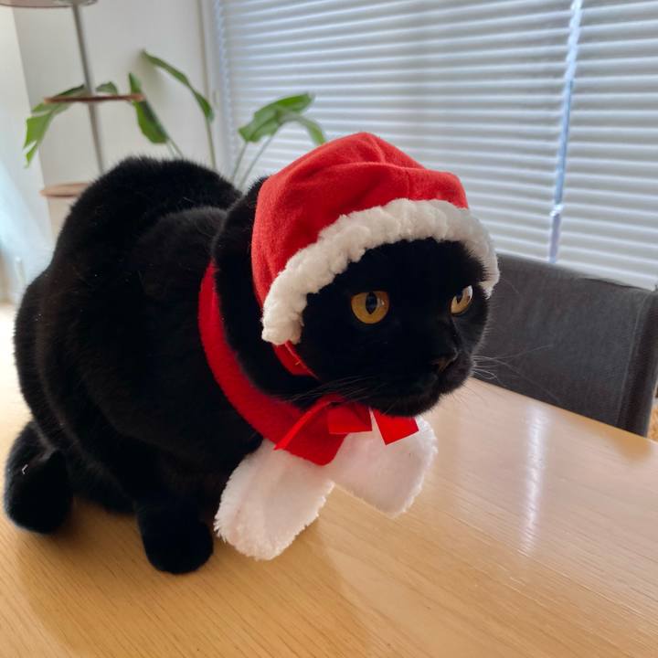 8807ec96 6834 4a28 82cd b1dc8f92a62b 1608780017500