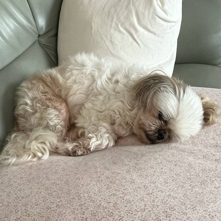 8807f231 d0b8 4e44 b8fc c85c8f18e846 1658637630780