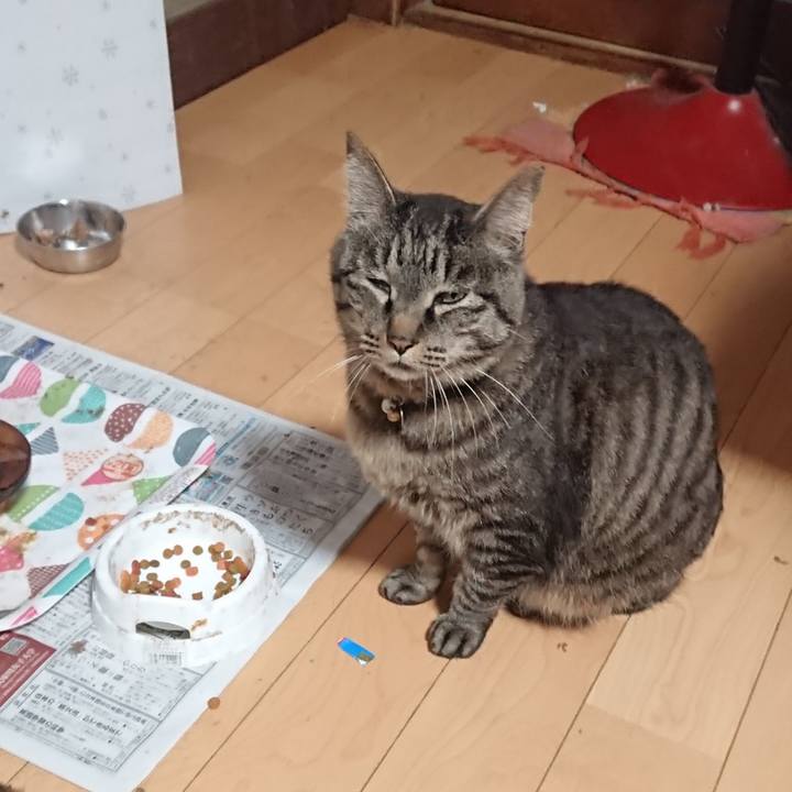 88081645 4fc5 4dd0 b500 92ab69133b4e 1653684974201