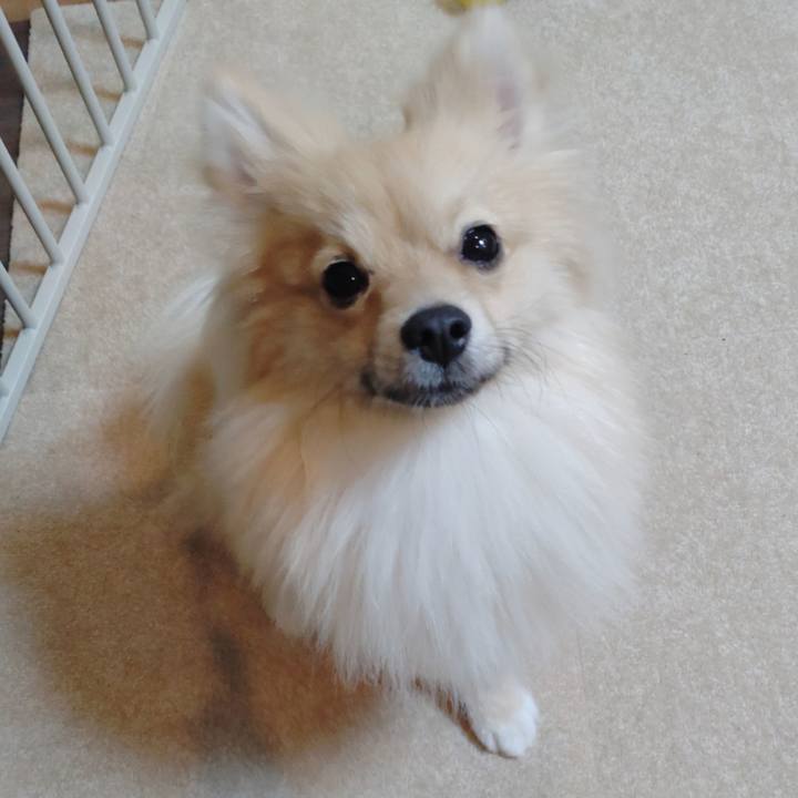 88082163 011b 4da5 ba1e dc8f15e3cf53 1741309796916