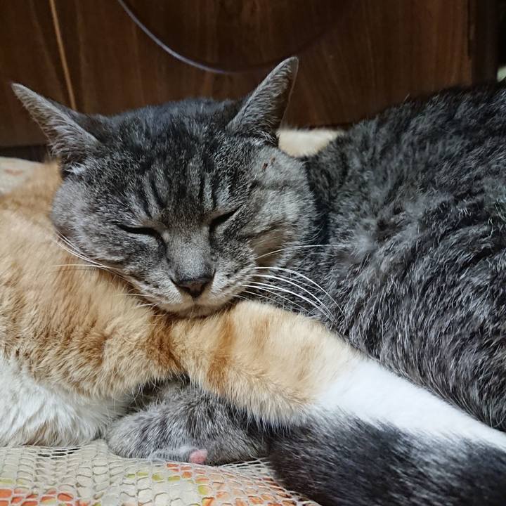 88084e2d 0a9f 4779 8ef7 a1cd30cad122 1577190449871