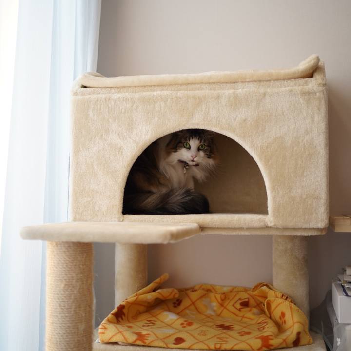 88086ec0 b64b 4a5c 9b7f 24c5c7f8d08f 1620302685253