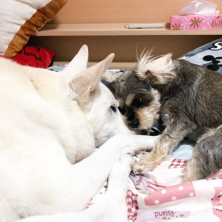 88088466 9130 470f a965 e9a596806a93 1539598440594