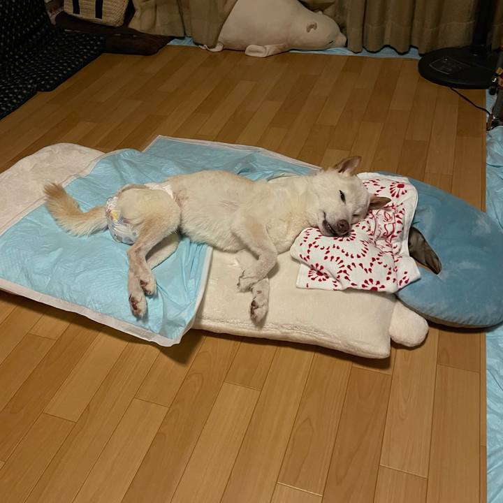 88088bfe 8080 4153 bed3 c5d270944151 1663515551358