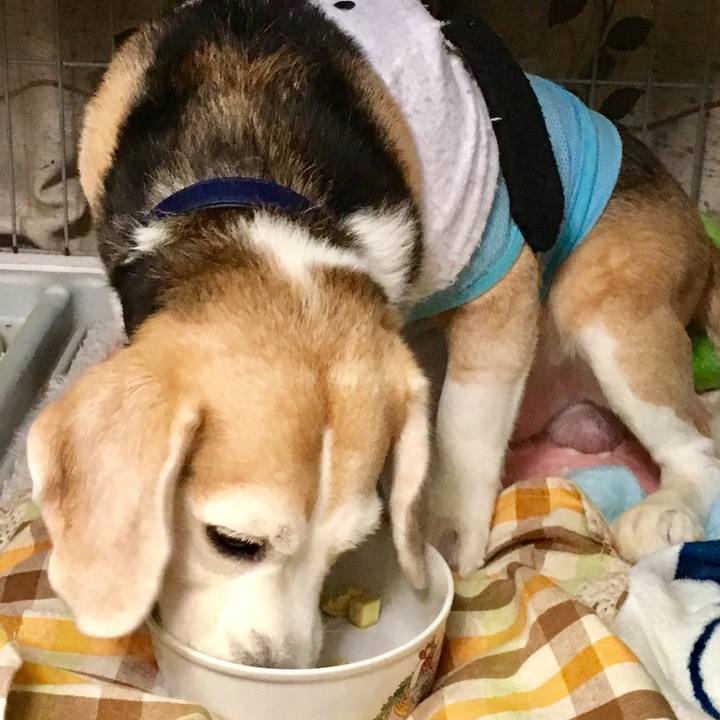 8808b3c7 36bb 440b aaef f5bd1eed8c21 1563339612805