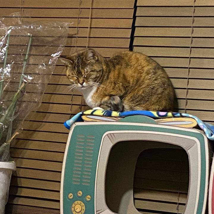 8808bbe2 61ac 43a4 92cf 3fca6c05768c 1648914730140