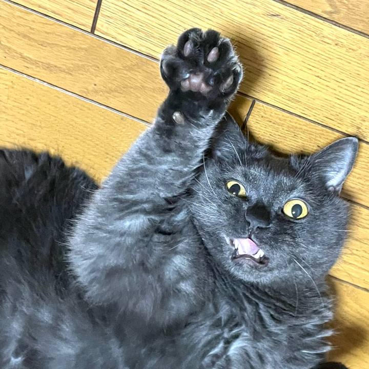 8808d0ad 3b60 4567 8629 ad4b203436f3 1759672728596