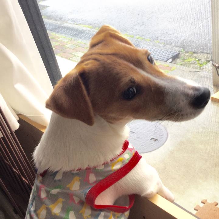 8808de96 a413 44ea 81fe 0a88f44354be 1528804987567