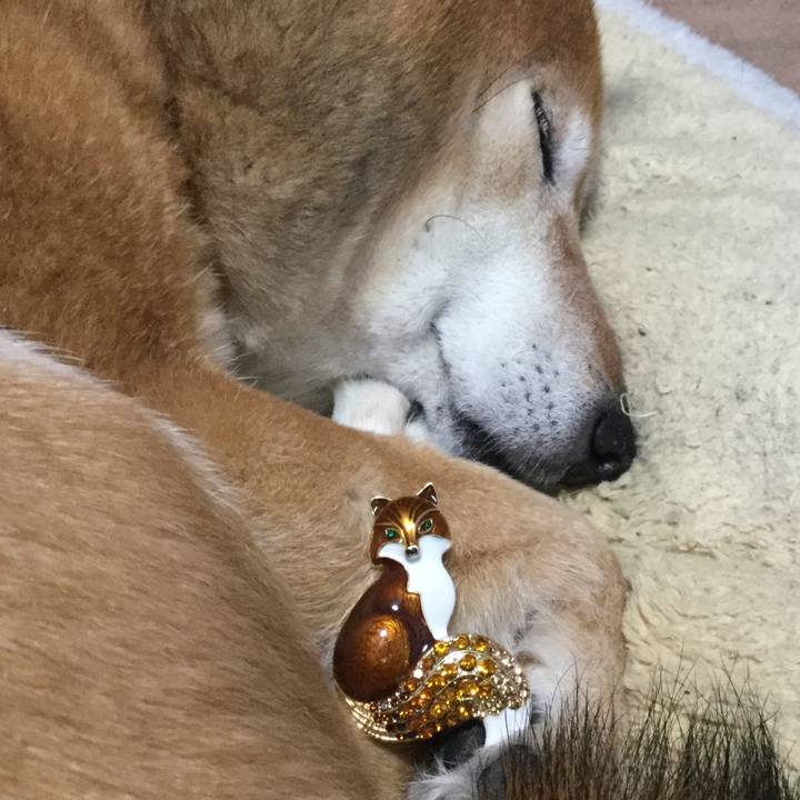 8808fc3a 4c8e 4845 b2dd dc9ad96ab3ca 1643605993521