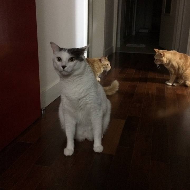 8809122a 9186 4cf6 b490 96e4db9f8241 1519419625949