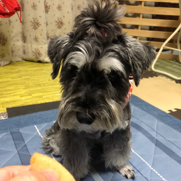 880922b9 b01e 41fa b6ce 77ac01dac474 1690984540546