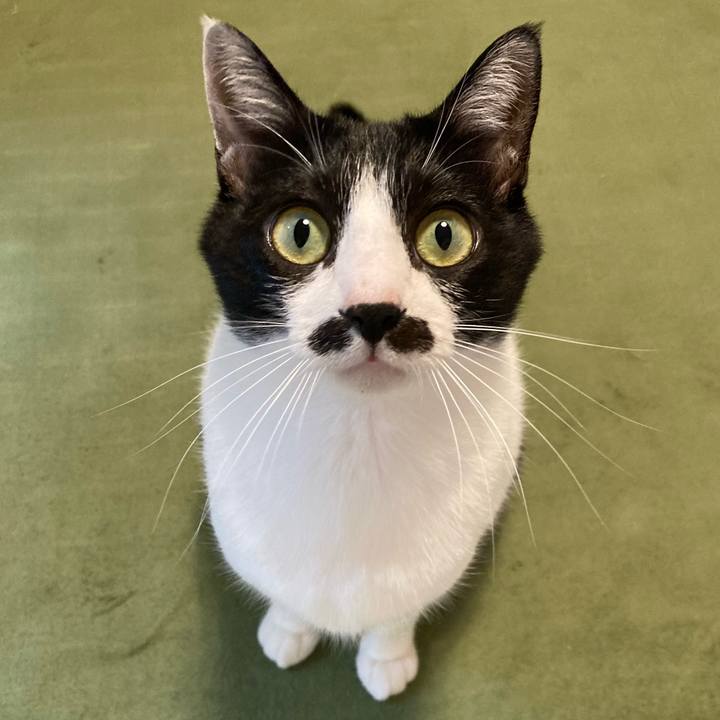 880946d6 7ab4 42e9 8c53 e082e8764aea 1765714337353