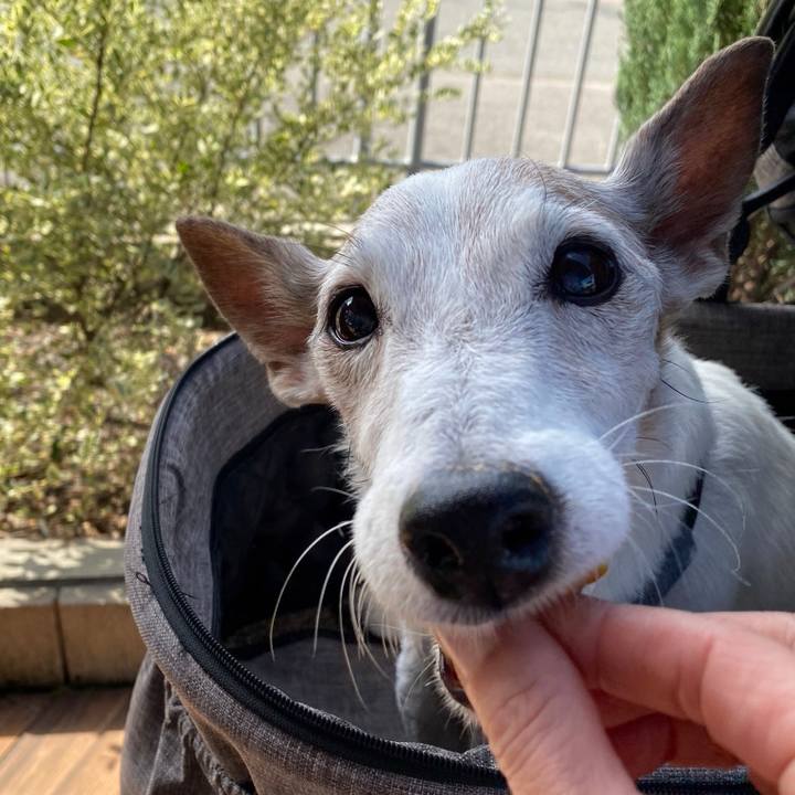 88097801 4120 45ef 9224 a72eb625ecf1 1730716763298