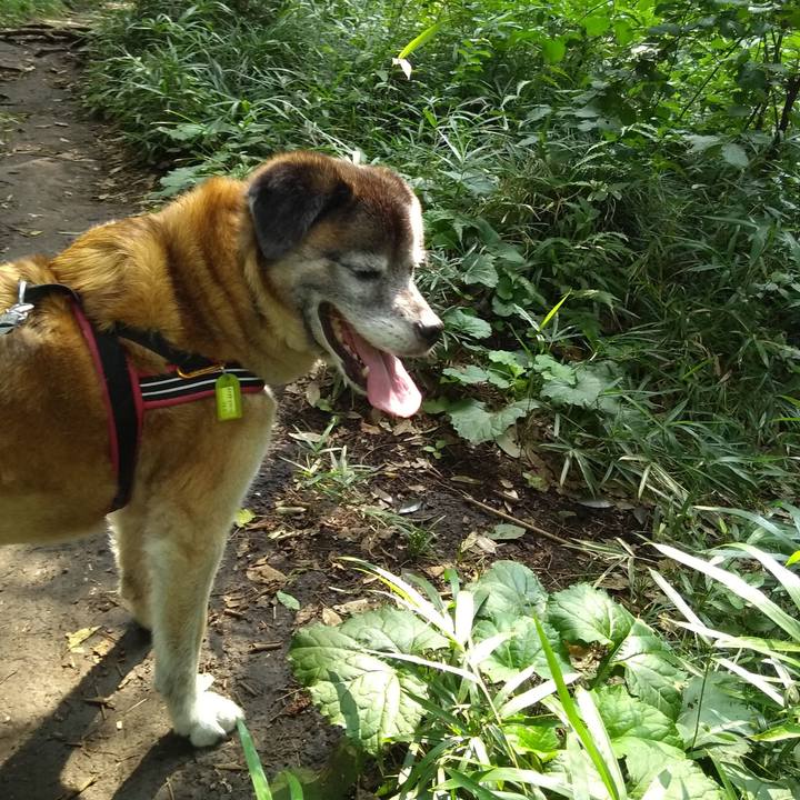 8809ae92 eaeb 42b8 9331 7cde0790460d 1564358145485