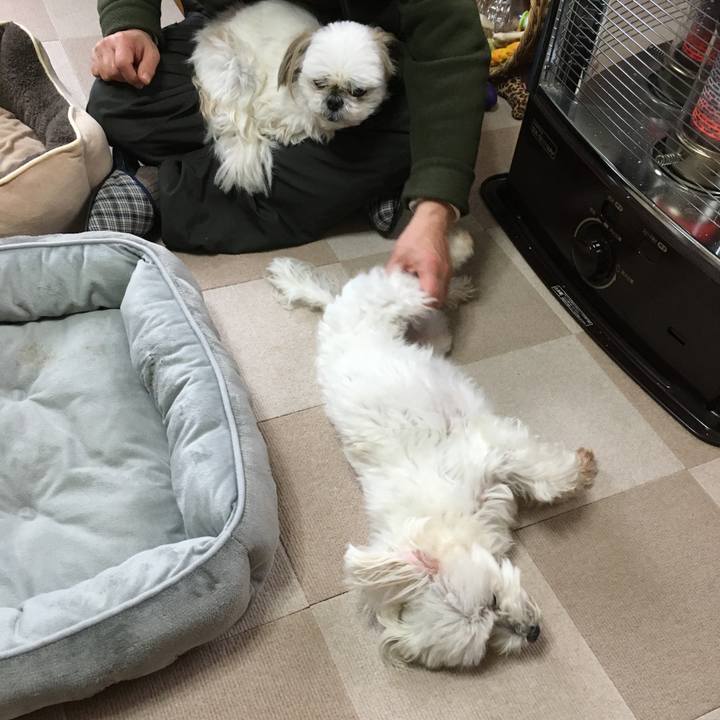 8809b0d1 8b97 4374 be34 c8293bbe8691 1584185816465