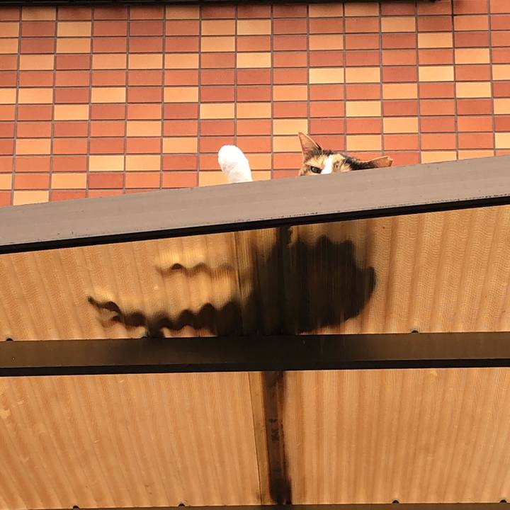 880a2230 55a1 49dc 8992 eb38a18a54e9 1536663990498